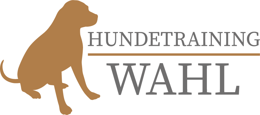 Hundetraining Wahl 